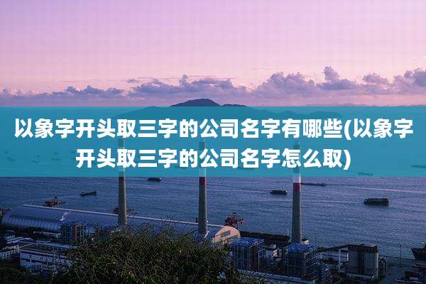 以象字开头取三字的公司名字有哪些(以象字开头取三字的公司名字怎么取)