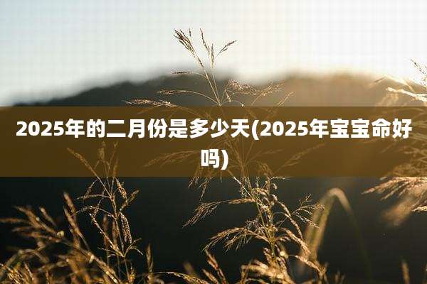 2025年的二月份是多少天(2025年宝宝命好吗)