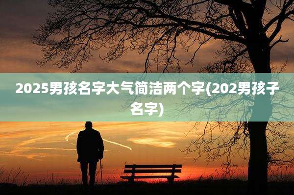 2025男孩名字大气简洁两个字(202男孩子名字)