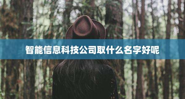 智能信息科技公司取什么名字好呢