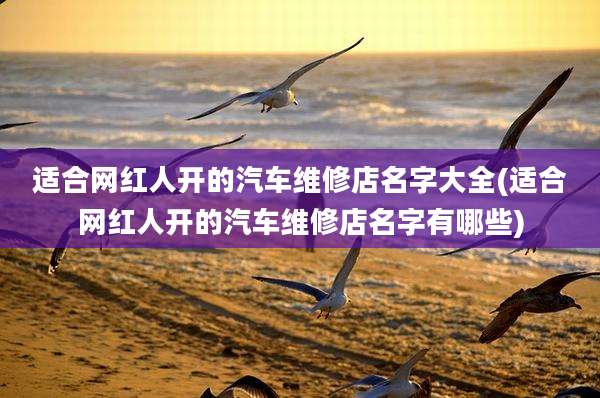 适合网红人开的汽车维修店名字大全(适合网红人开的汽车维修店名字有哪些)