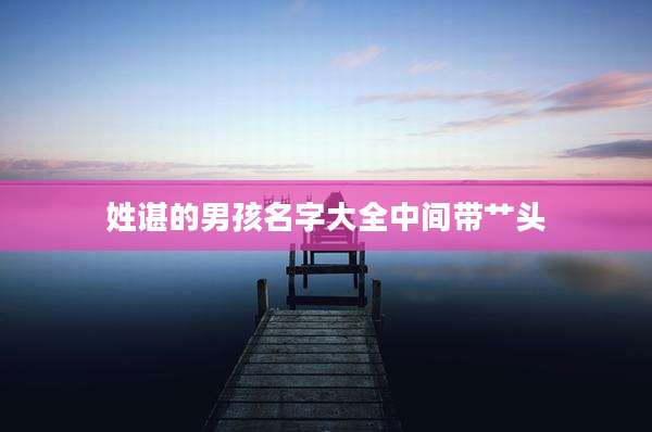 姓谌的男孩名字大全中间带艹头