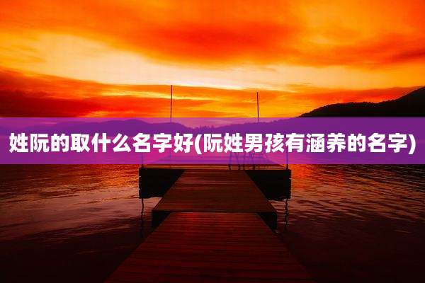 姓阮的取什么名字好(阮姓男孩有涵养的名字)