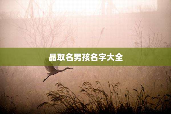 晶取名男孩名字大全