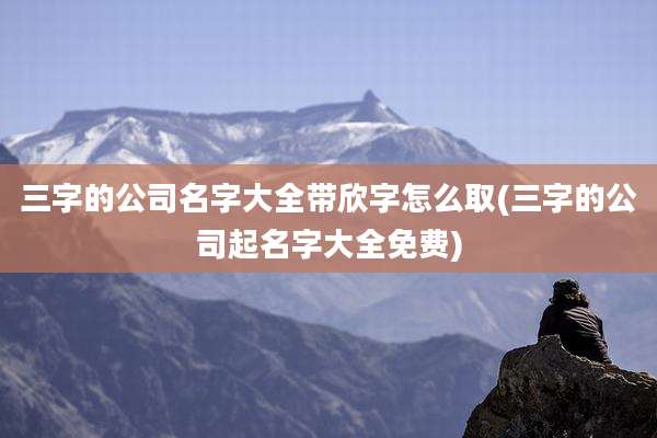 三字的公司名字大全带欣字怎么取(三字的公司起名字大全免费)