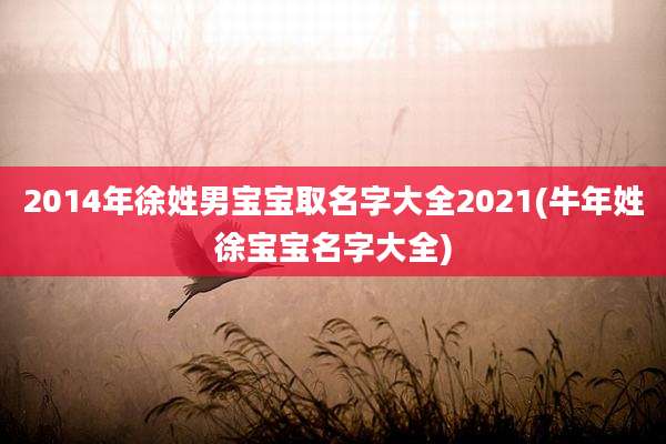 2014年徐姓男宝宝取名字大全2021(牛年姓徐宝宝名字大全)