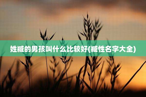姓臧的男孩叫什么比较好(臧性名字大全)