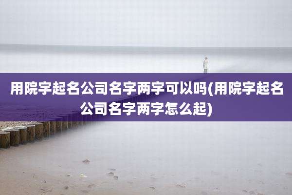 用院字起名公司名字两字可以吗(用院字起名公司名字两字怎么起)