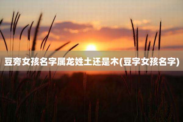 豆旁女孩名字属龙姓土还是木(豆字女孩名字)