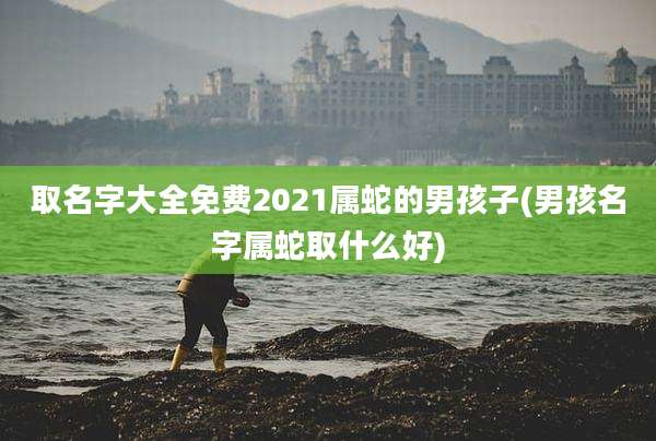 取名字大全免费2021属蛇的男孩子(男孩名字属蛇取什么好)