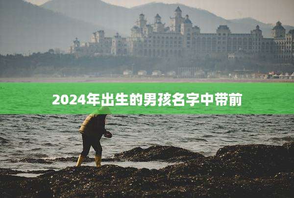 2024年出生的男孩名字中带前