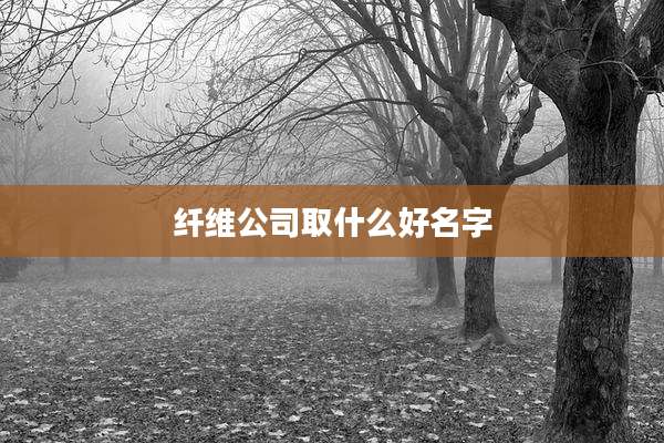 纤维公司取什么好名字