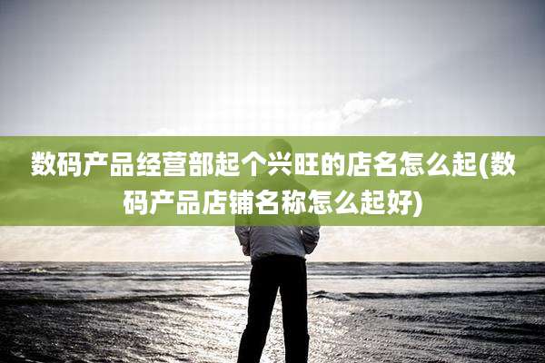 数码产品经营部起个兴旺的店名怎么起(数码产品店铺名称怎么起好)