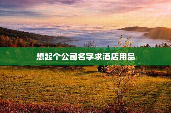 想起个公司名字求酒店用品