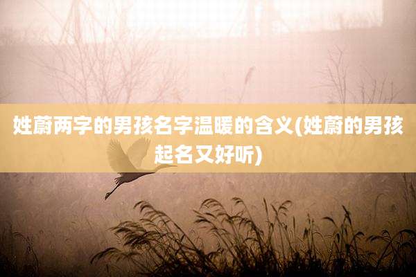 姓蔚两字的男孩名字温暖的含义(姓蔚的男孩起名又好听)