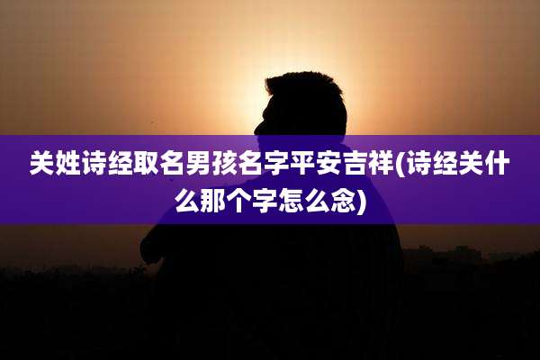 关姓诗经取名男孩名字平安吉祥(诗经关什么那个字怎么念)