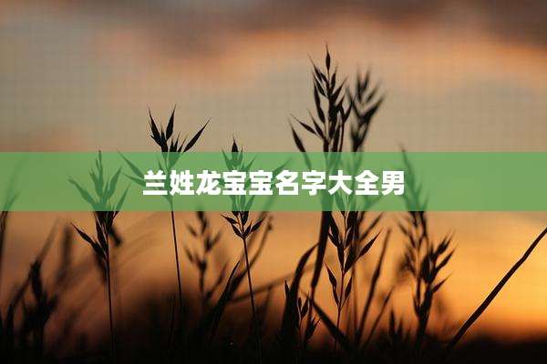 兰姓龙宝宝名字大全男