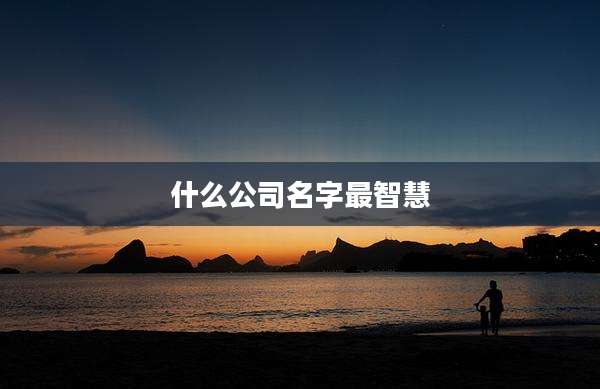 什么公司名字最智慧