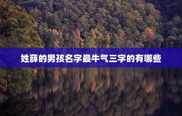 姓薛的男孩名字最牛气三字的有哪些