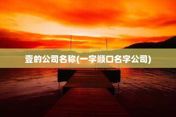 壹的公司名称(一字顺口名字公司)