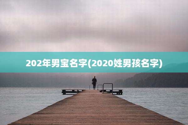 202年男宝名字(2020姓男孩名字)