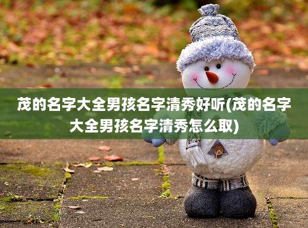 茂的名字大全男孩名字清秀好听(茂的名字大全男孩名字清秀怎么取)