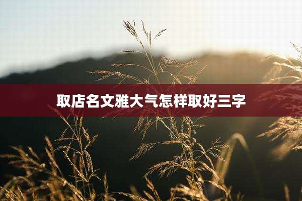 取店名文雅大气怎样取好三字