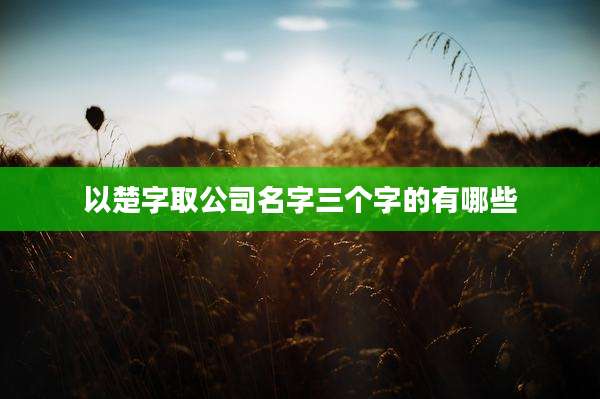 以楚字取公司名字三个字的有哪些