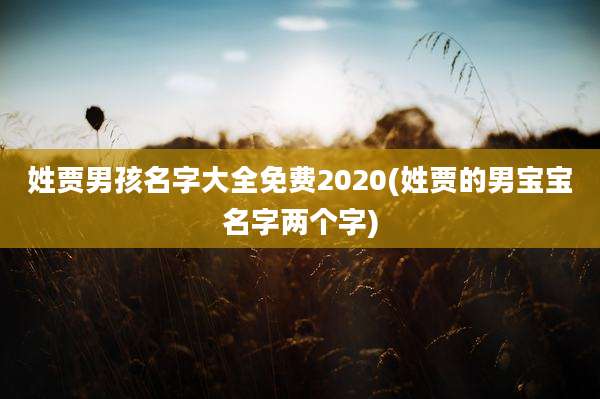 姓贾男孩名字大全免费2020(姓贾的男宝宝名字两个字)