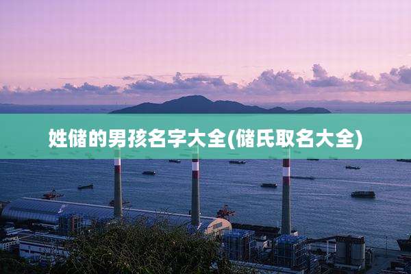 姓储的男孩名字大全(储氏取名大全)
