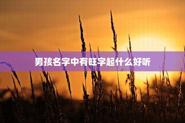 男孩名字中有旺字起什么好听