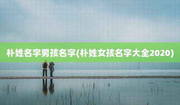 朴姓名字男孩名字(朴姓女孩名字大全2020)