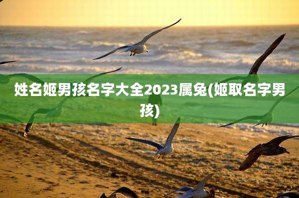 姓名姬男孩名字大全2023属兔(姬取名字男孩)