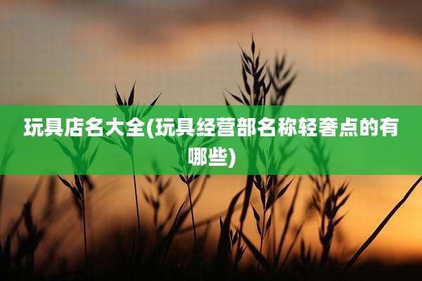 玩具店名大全(玩具经营部名称轻奢点的有哪些)