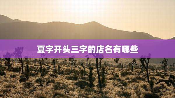 夏字开头三字的店名有哪些