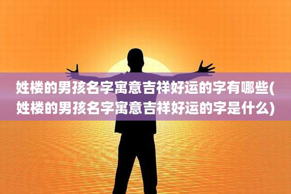 姓楼的男孩名字寓意吉祥好运的字有哪些(姓楼的男孩名字寓意吉祥好运的字是什么)