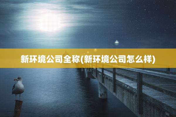 新环境公司全称(新环境公司怎么样)