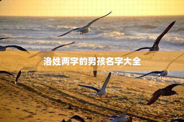 洛姓两字的男孩名字大全
