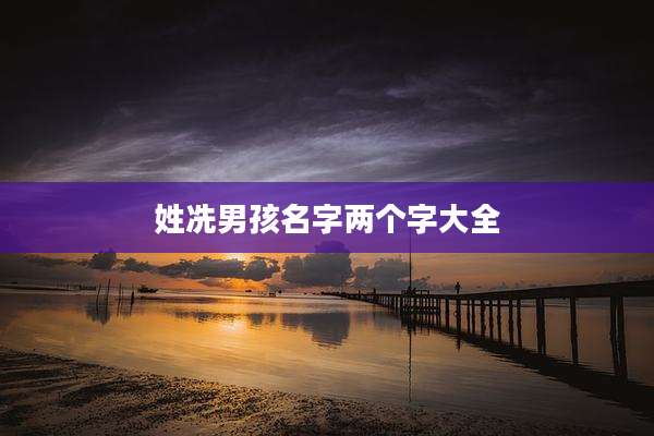姓冼男孩名字两个字大全