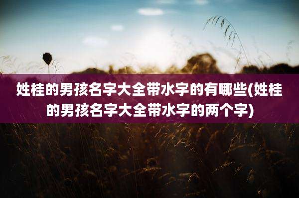 姓桂的男孩名字大全带水字的有哪些(姓桂的男孩名字大全带水字的两个字)