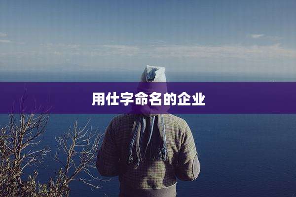 用仕字命名的企业