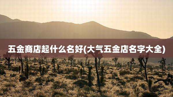 五金商店起什么名好(大气五金店名字大全)