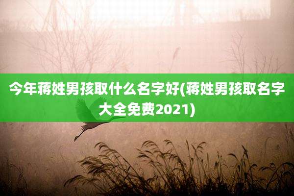 今年蒋姓男孩取什么名字好(蒋姓男孩取名字大全免费2021)