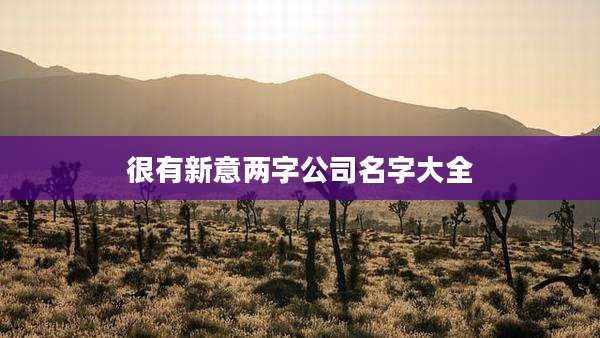 很有新意两字公司名字大全