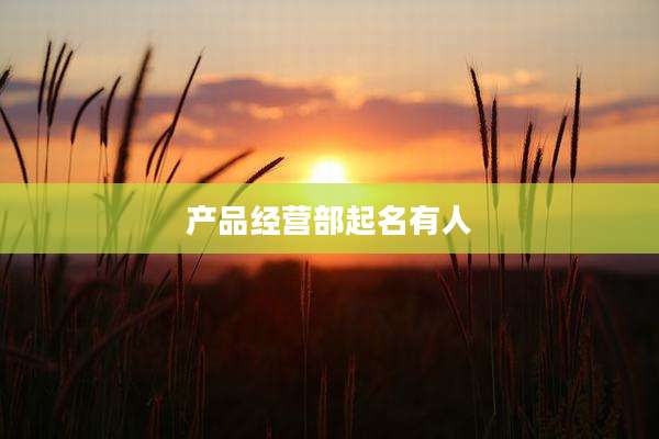 产品经营部起名有人