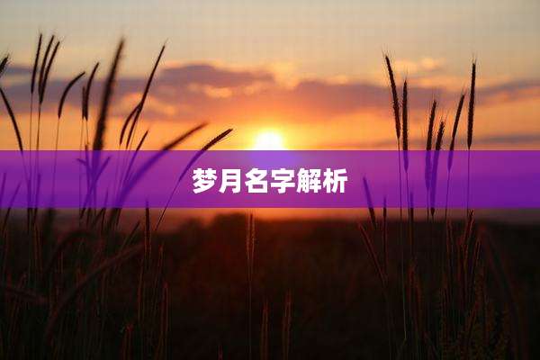 梦月名字解析