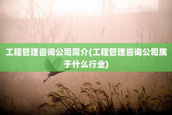工程管理咨询公司简介(工程管理咨询公司属于什么行业)