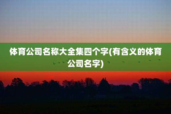 体育公司名称大全集四个字(有含义的体育公司名字)