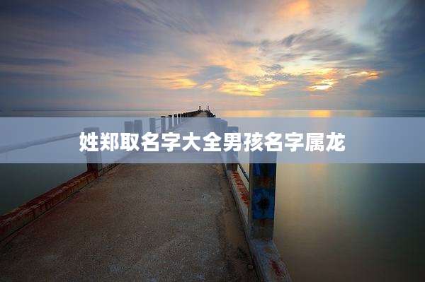 姓郑取名字大全男孩名字属龙