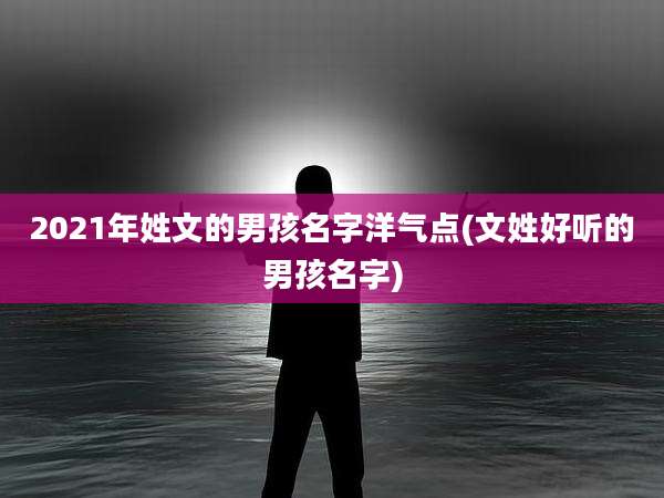 2021年姓文的男孩名字洋气点(文姓好听的男孩名字)